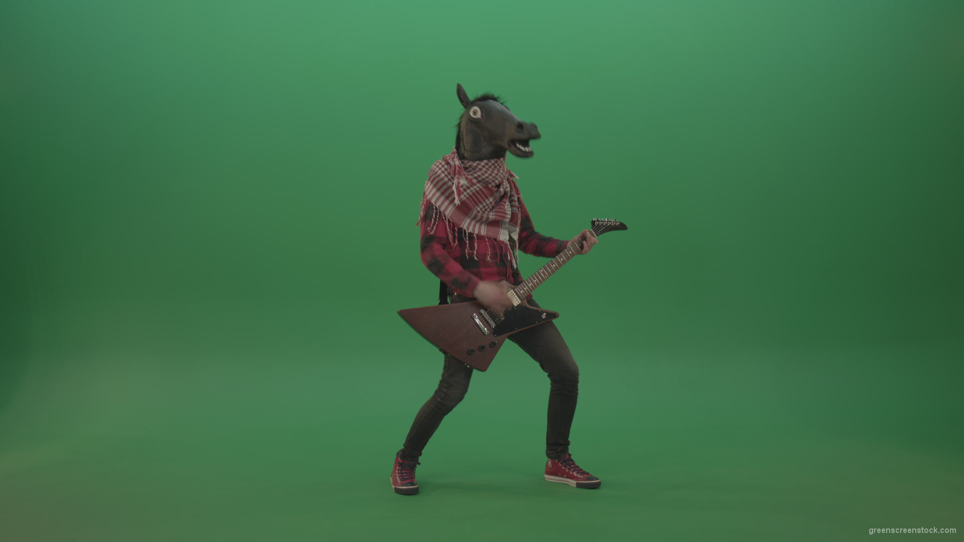 Green-screen-horse-man-guitaris-play-hard-rock-music-with-guitar-isolated-on-green-background_004 Green Screen Stock