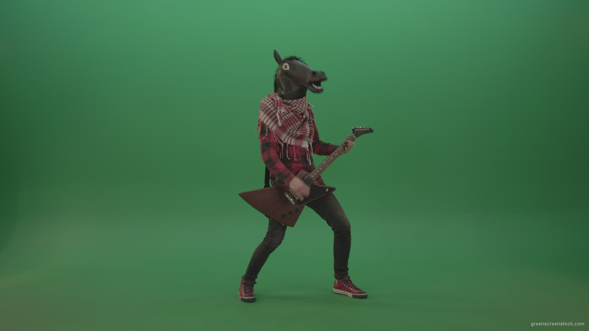 Green-screen-horse-man-guitaris-play-hard-rock-music-with-guitar-isolated-on-green-background_007 Green Screen Stock