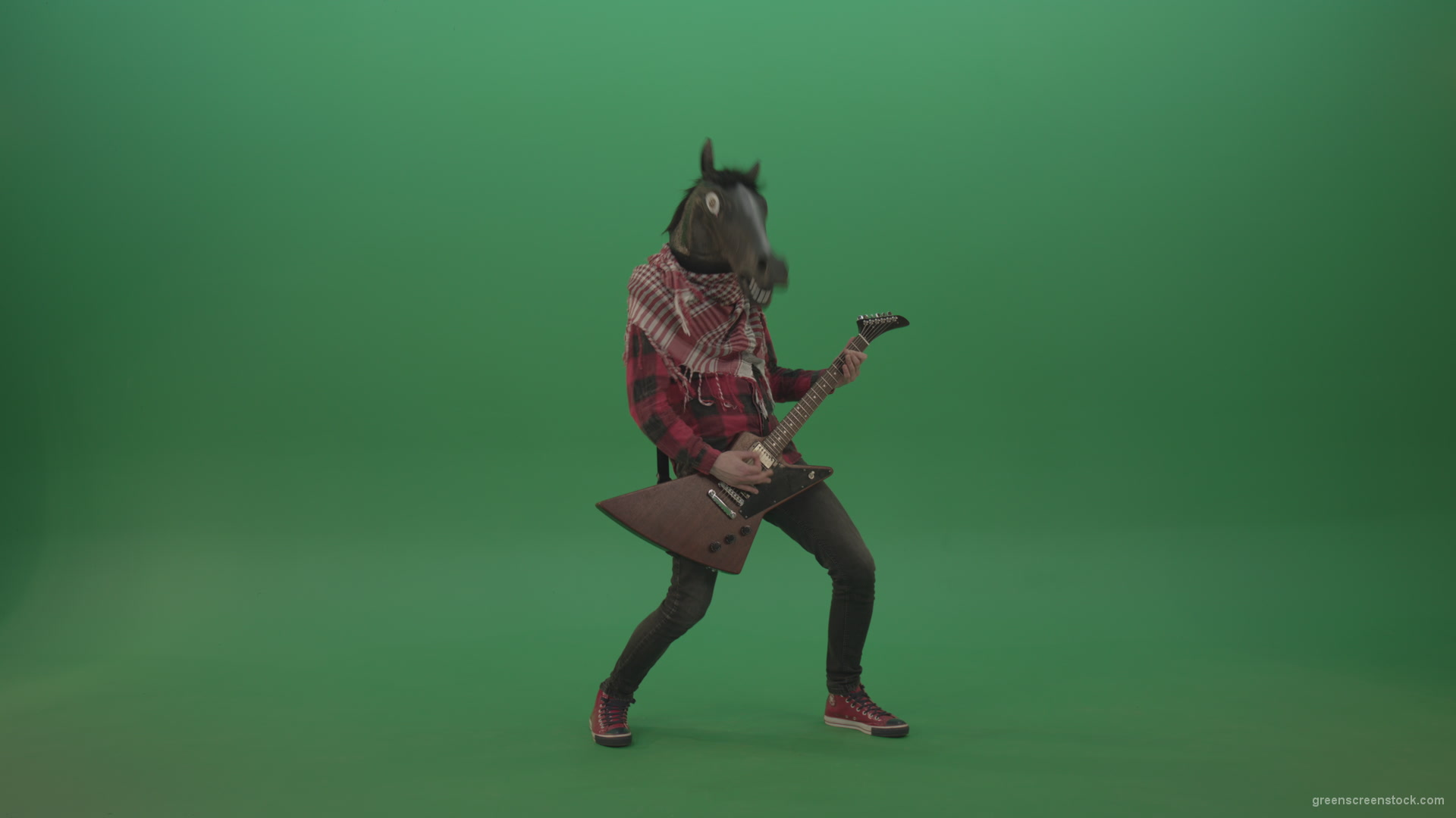 Green-screen-horse-man-guitaris-play-hard-rock-music-with-guitar-isolated-on-green-background_009 Green Screen Stock