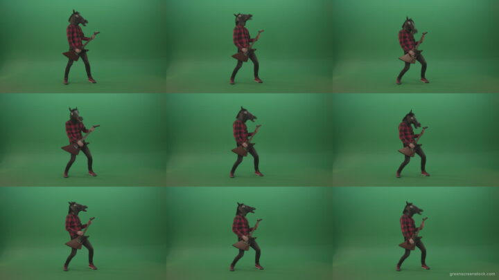 Guitarist-horse-man-with-horse-mask-head-play-guitar-on-green-screen Green Screen Stock