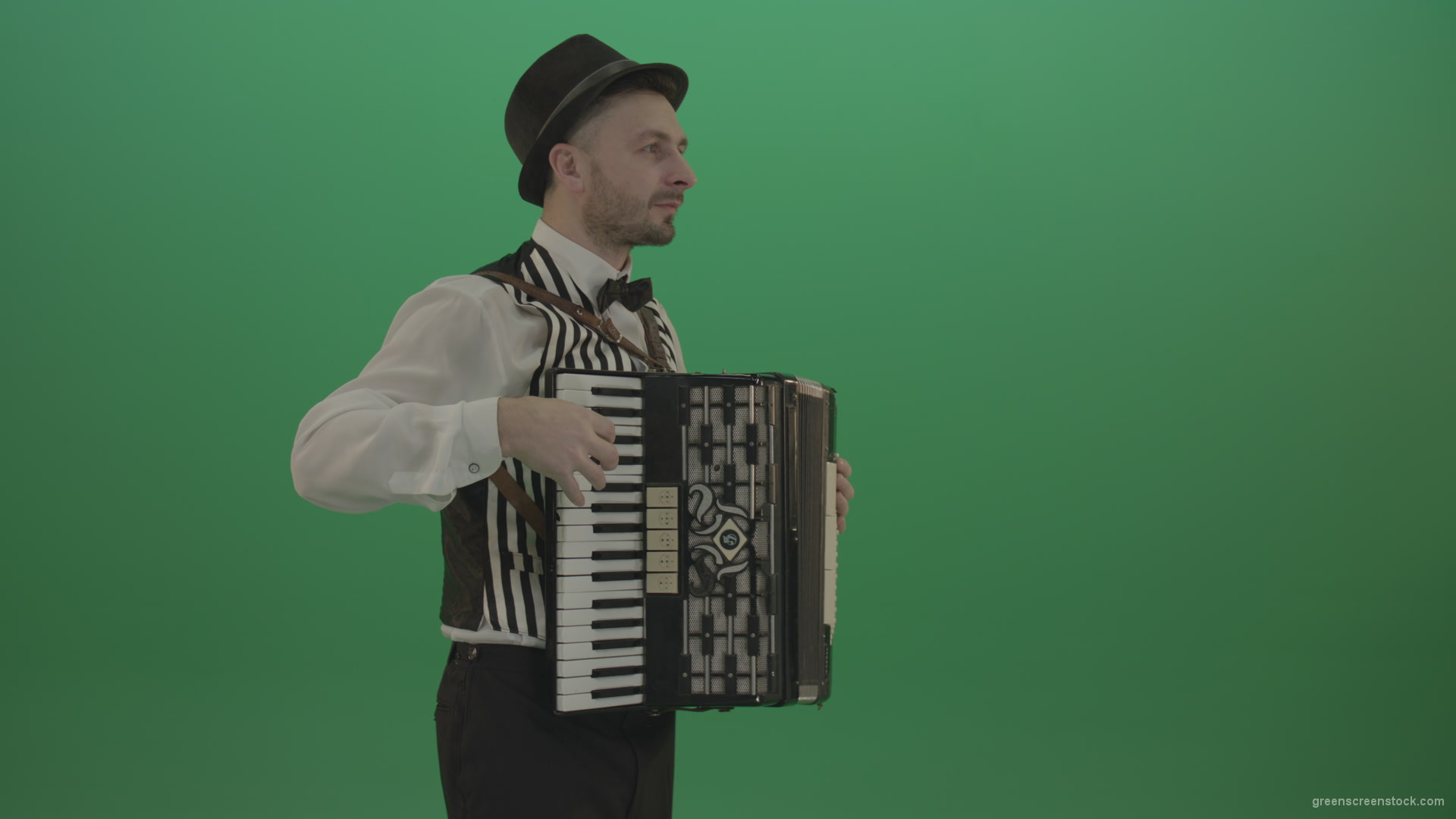 Man-in-hat-playing-Accordion-jazz-music-on-wedding-in-side-view-isolated-on-green-screen_001 Green Screen Stock