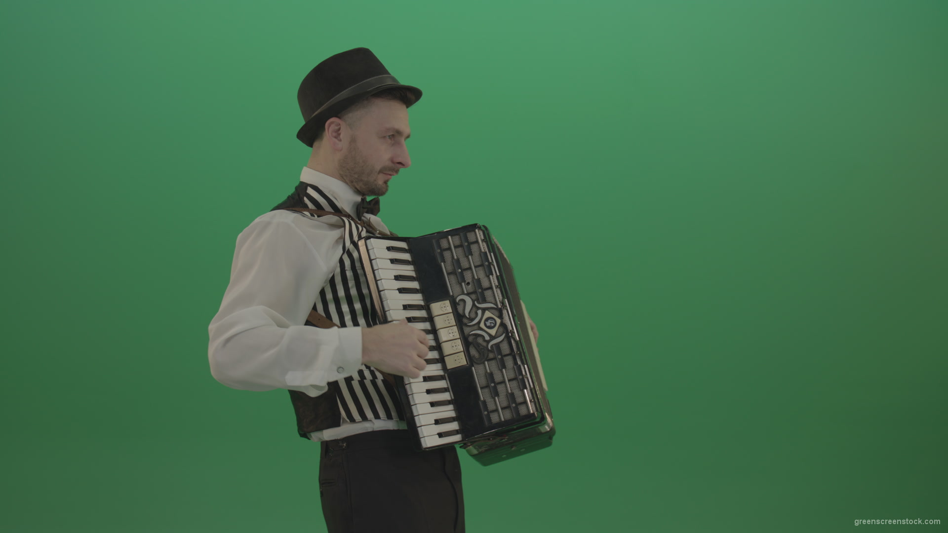 Man-in-hat-playing-Accordion-jazz-music-on-wedding-in-side-view-isolated-on-green-screen_002 Green Screen Stock