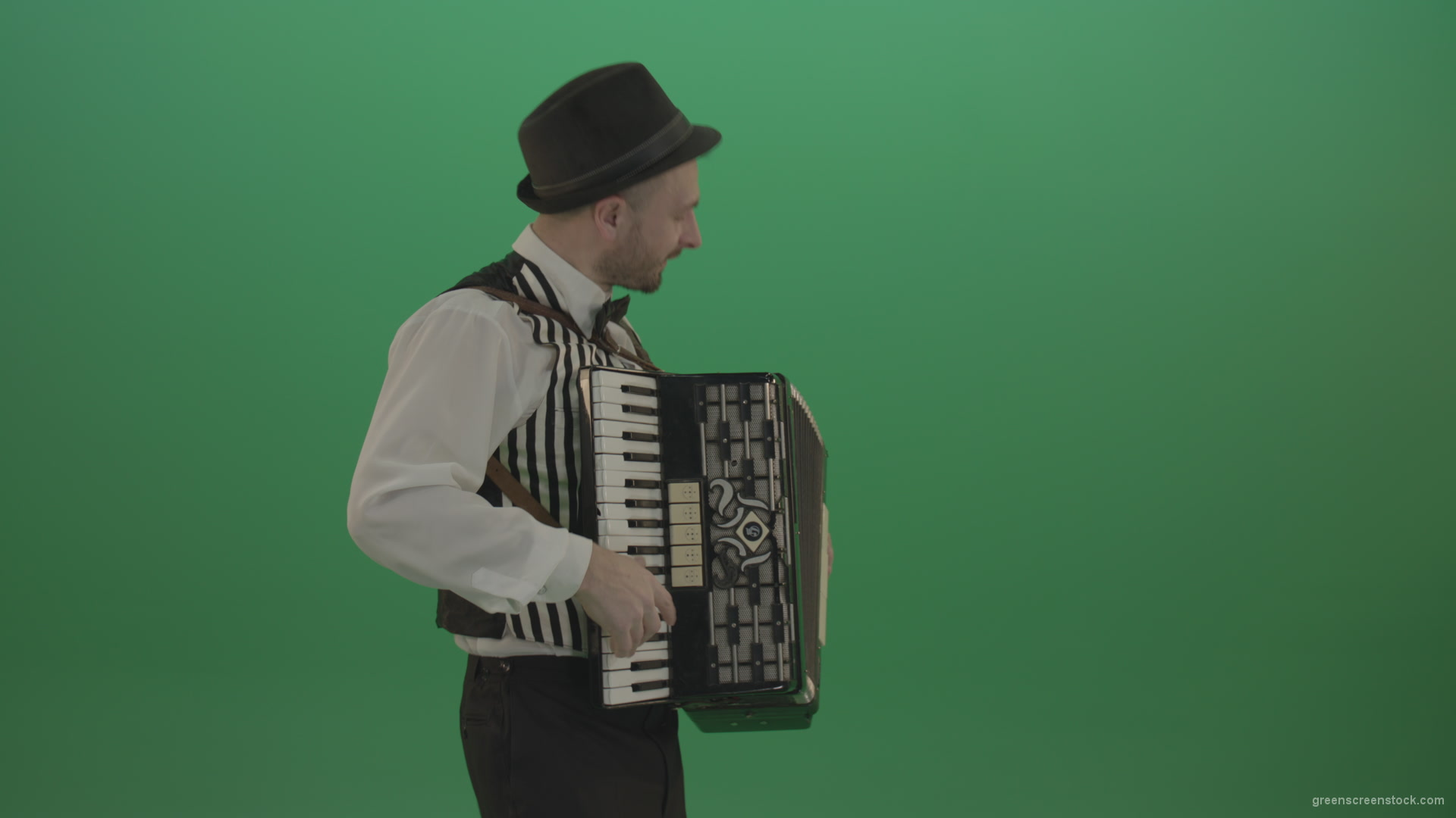 Man-in-hat-playing-Accordion-jazz-music-on-wedding-in-side-view-isolated-on-green-screen_006 Green Screen Stock