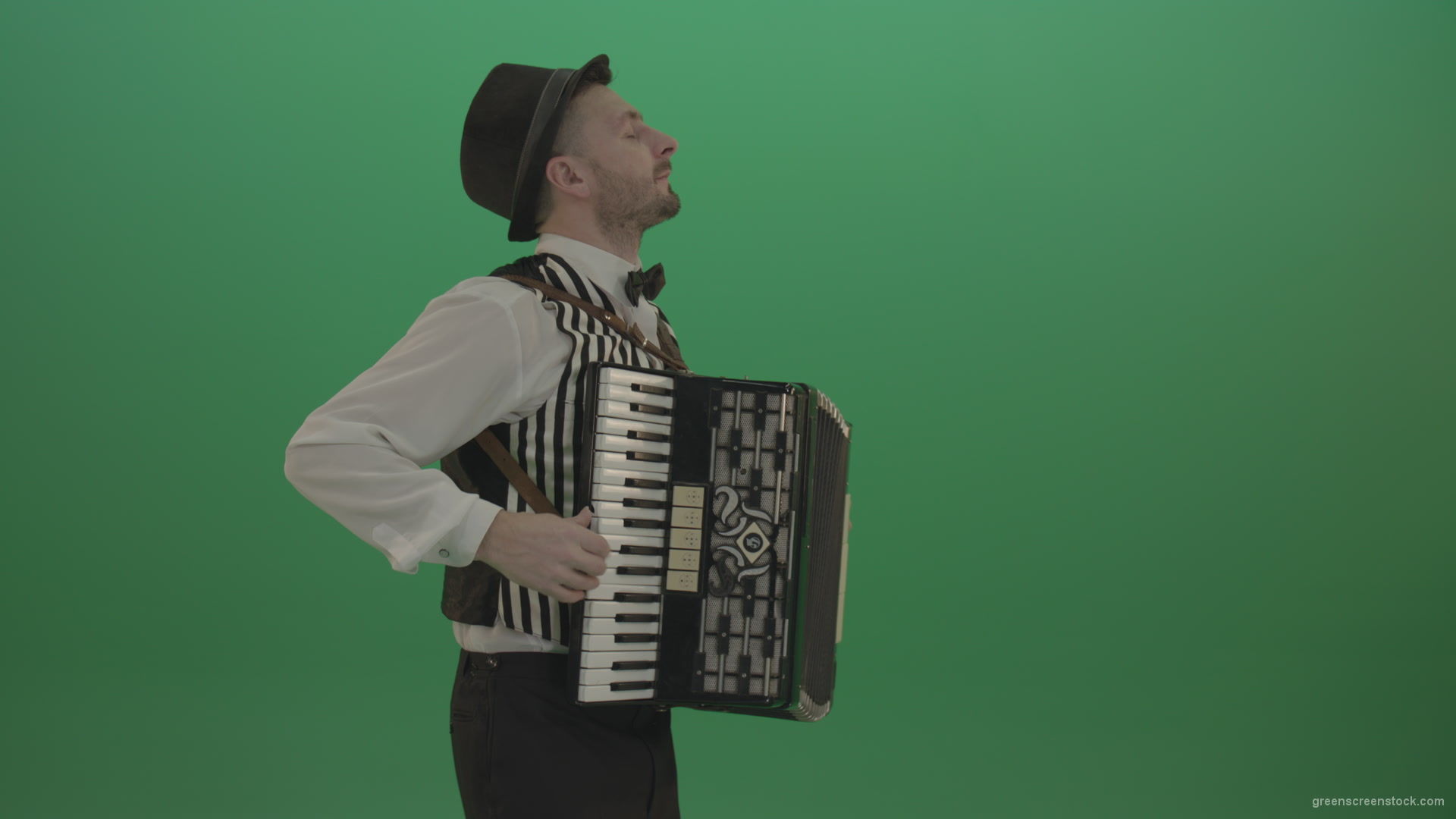 Man-in-hat-playing-Accordion-jazz-music-on-wedding-in-side-view-isolated-on-green-screen_007 Green Screen Stock