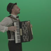 Man-in-hat-playing-Accordion-jazz-music-on-wedding-in-side-view-isolated-on-green-screen_008 Green Screen Stock