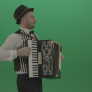 Man-in-hat-playing-Accordion-jazz-music-on-wedding-in-side-view-isolated-on-green-screen_009 Green Screen Stock