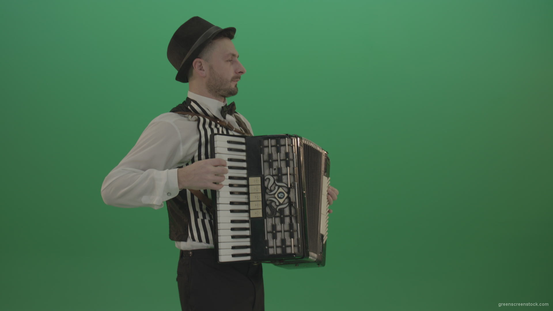 Man-in-hat-playing-Accordion-jazz-music-on-wedding-in-side-view-isolated-on-green-screen_009 Green Screen Stock