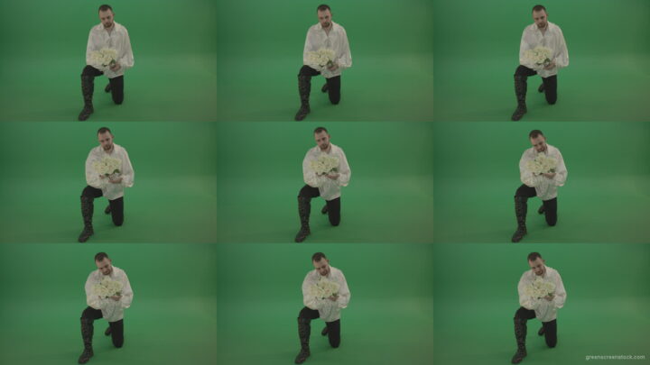 Medieval-man-gives-white-flowers-standing-on-one-knee-isolated-in-green-screen-studio Green Screen Stock