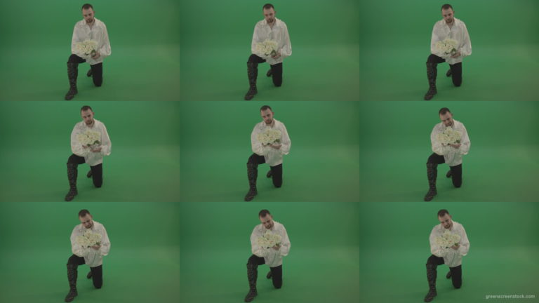 Medieval-man-gives-white-flowers-standing-on-one-knee-isolated-in-green-screen-studio Green Screen Stock