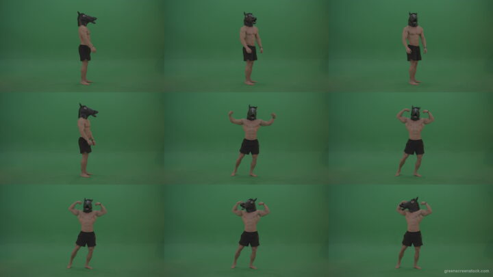 Ripped-man-with-horse-head-displays-body-over-chromakey-background Green Screen Stock