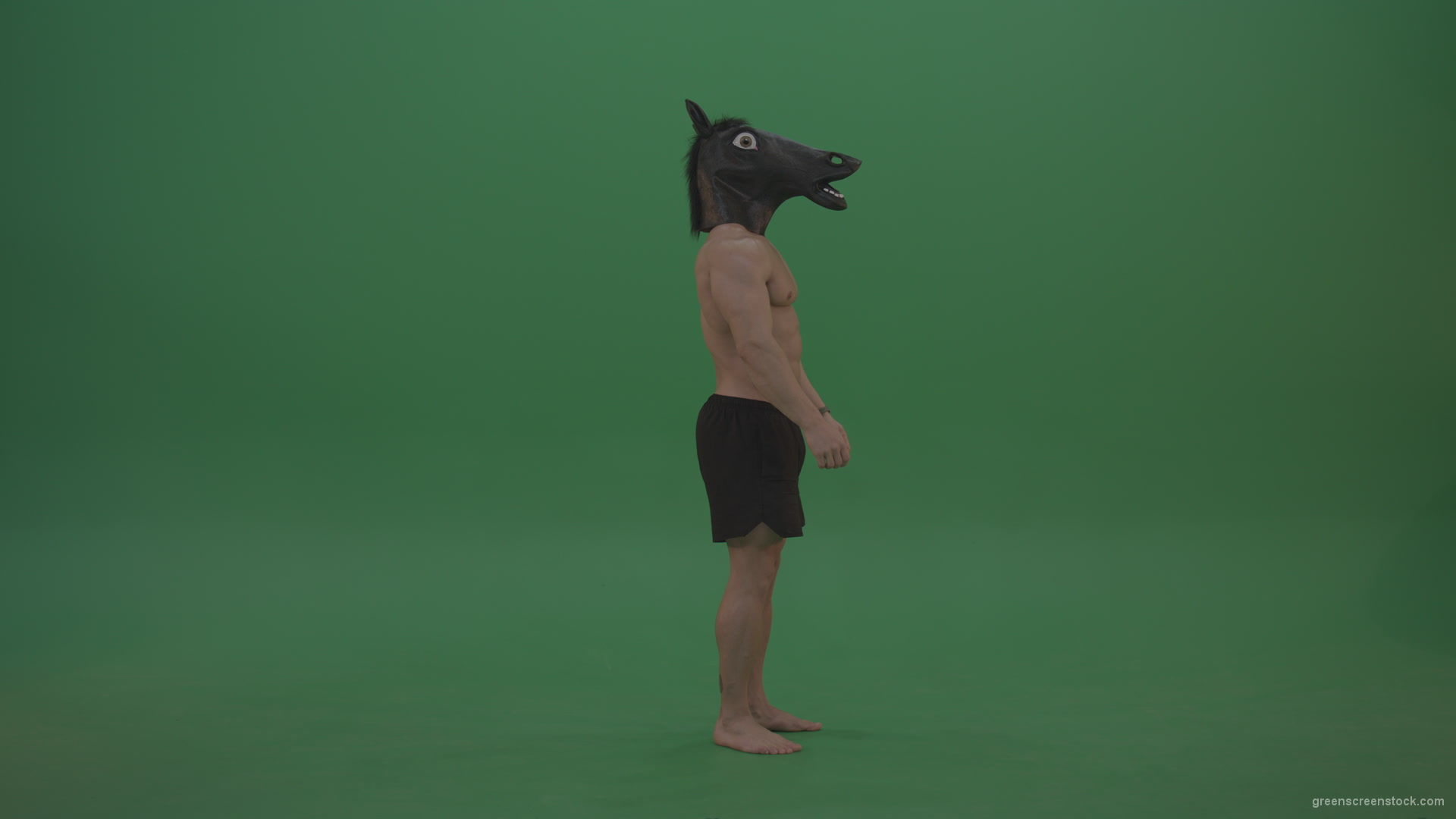 Ripped-man-with-horse-head-displays-body-over-chromakey-background_001 Green Screen Stock