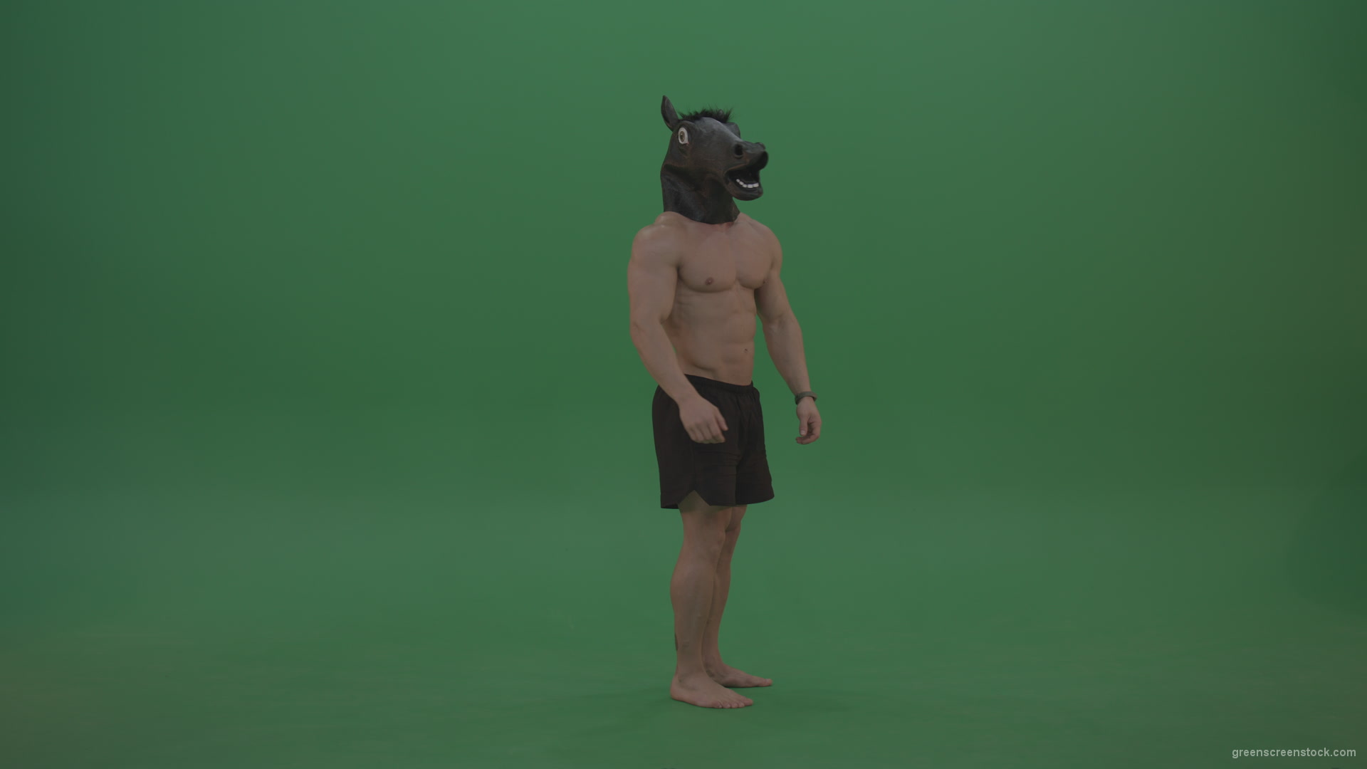 Ripped-man-with-horse-head-displays-body-over-chromakey-background_002 Green Screen Stock