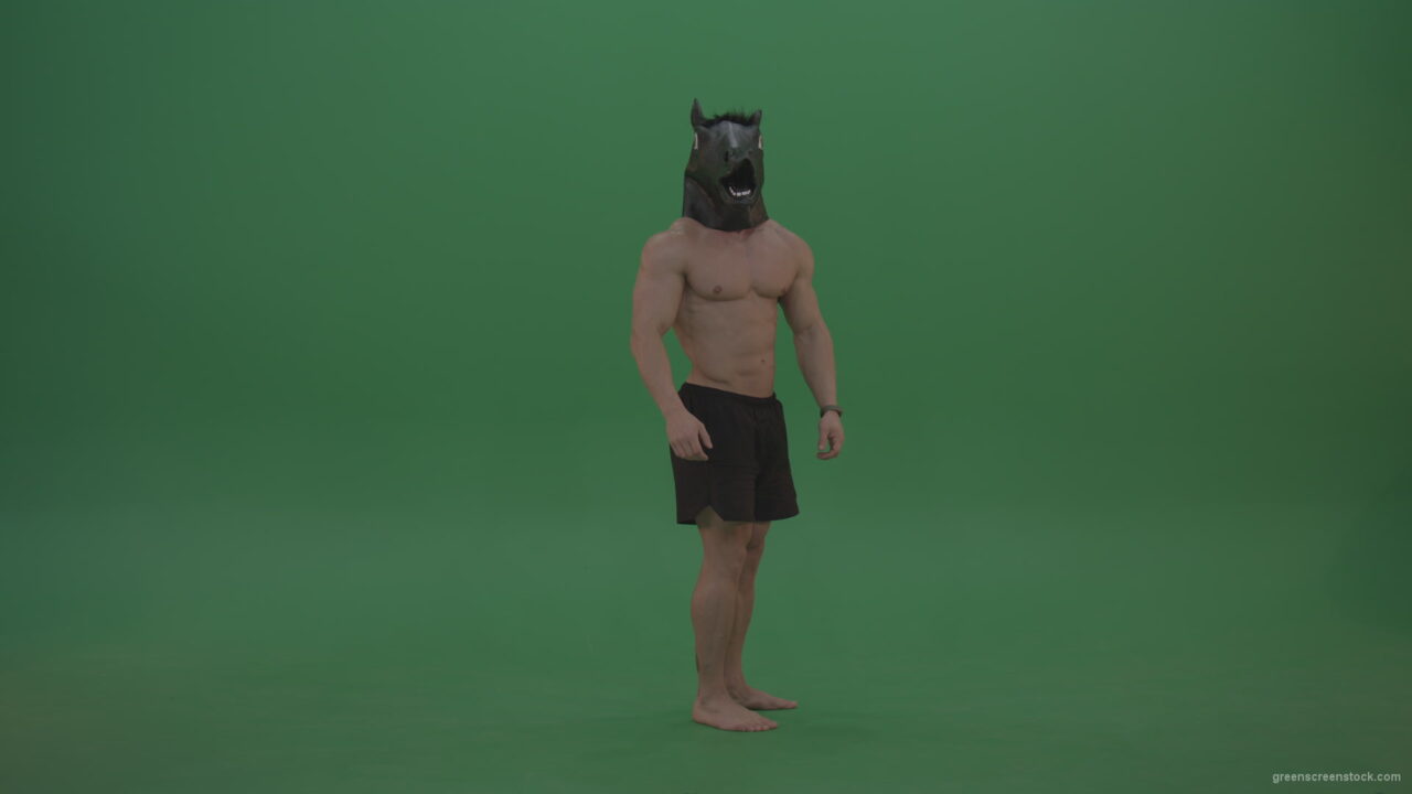 vj video background Ripped-man-with-horse-head-displays-body-over-chromakey-background_003