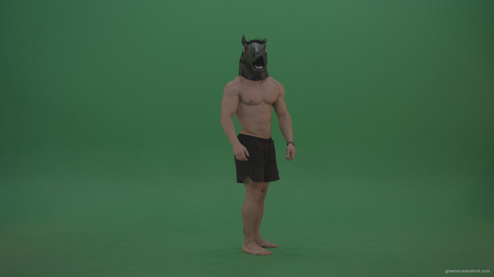 vj video background Ripped-man-with-horse-head-displays-body-over-chromakey-background_003