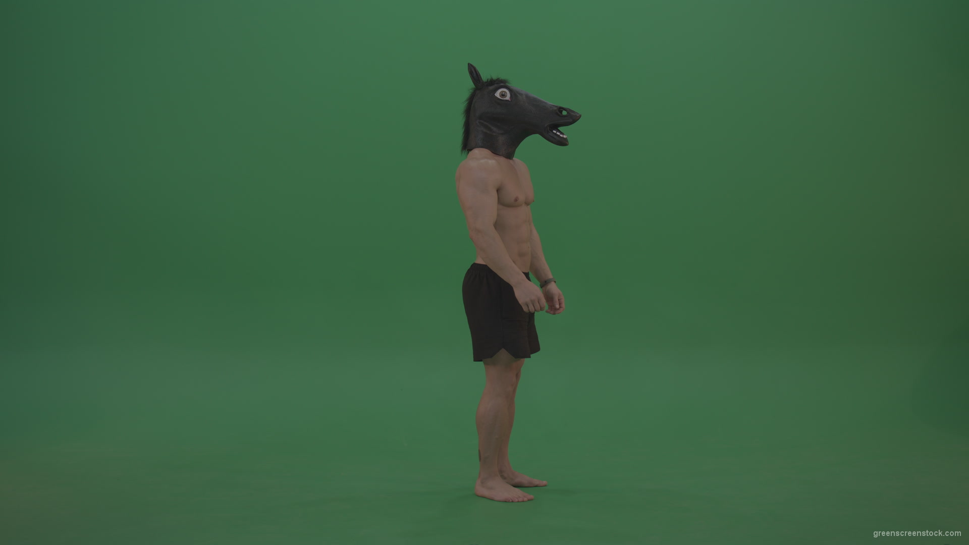 Ripped-man-with-horse-head-displays-body-over-chromakey-background_004 Green Screen Stock