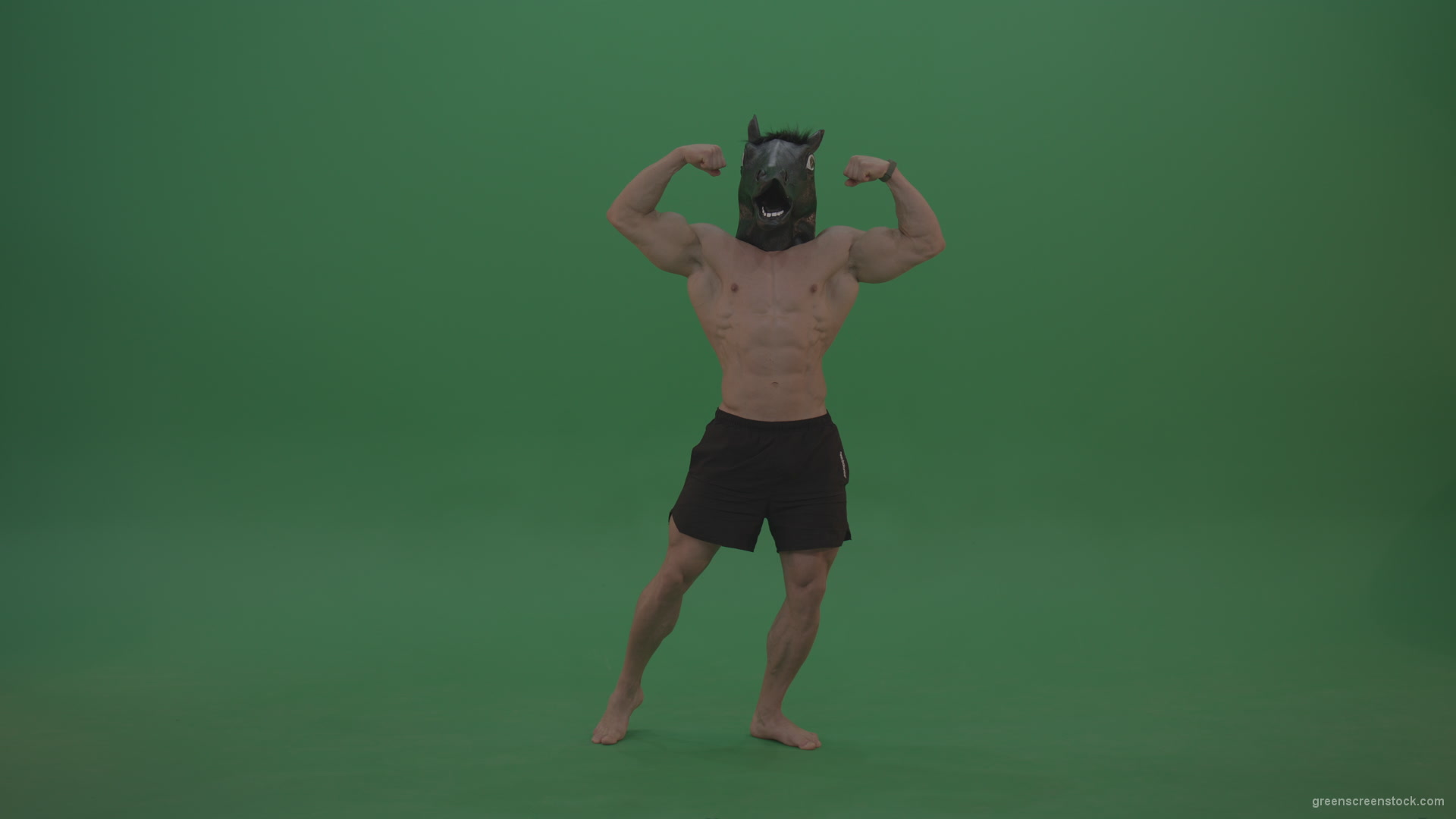 Ripped-man-with-horse-head-displays-body-over-chromakey-background_007 Green Screen Stock