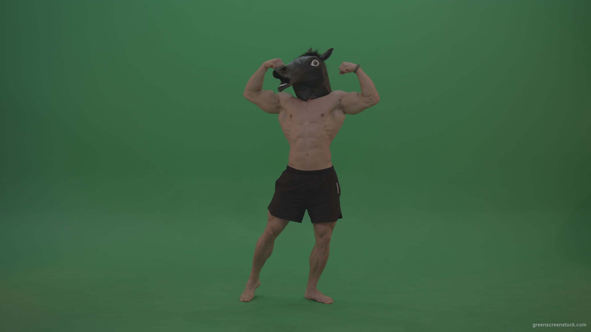 Ripped-man-with-horse-head-displays-body-over-chromakey-background_008 Green Screen Stock