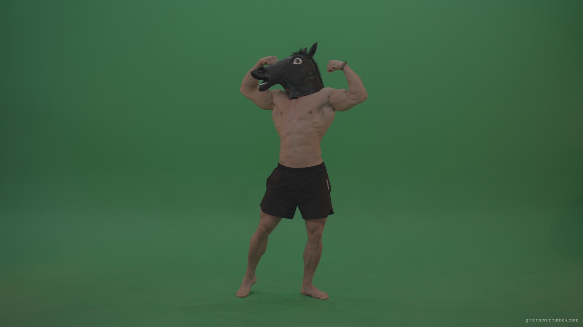 Ripped-man-with-horse-head-displays-body-over-chromakey-background_009 Green Screen Stock