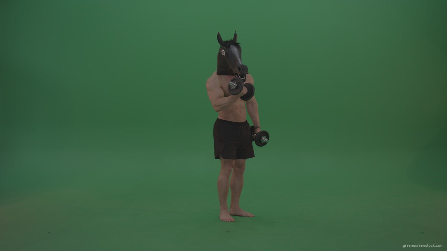 vj video background Ripped-man-with-horse-head-lifts-dumbells-over-chromakey-background_003