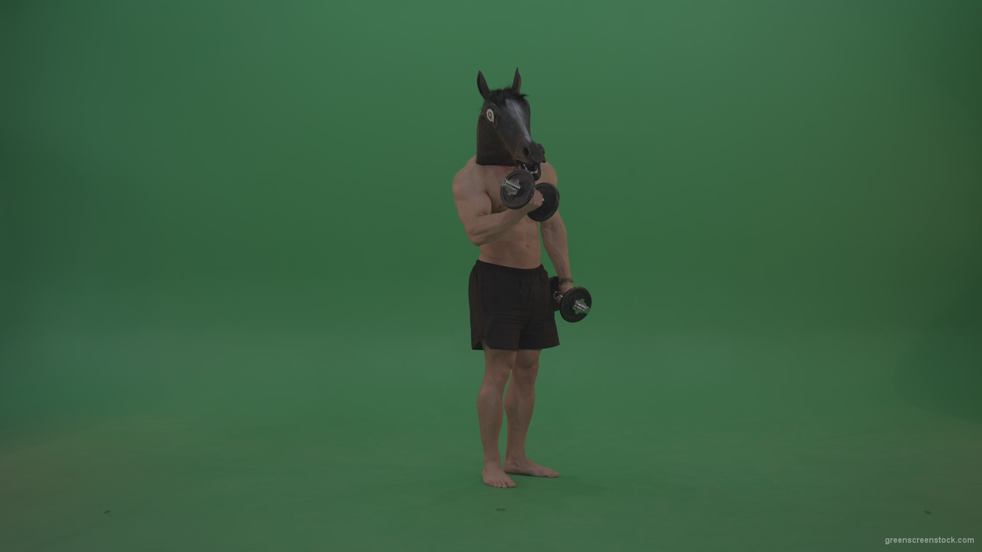 vj video background Ripped-man-with-horse-head-lifts-dumbells-over-chromakey-background_003