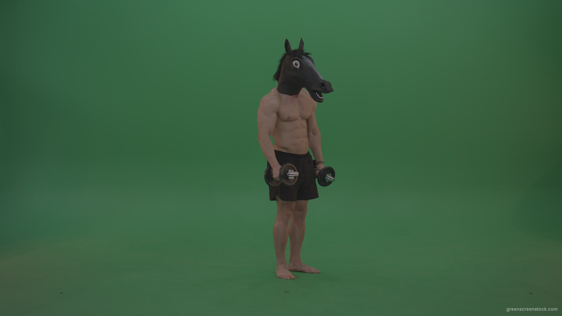 Ripped-man-with-horse-head-lifts-dumbells-over-chromakey-background_004 Green Screen Stock