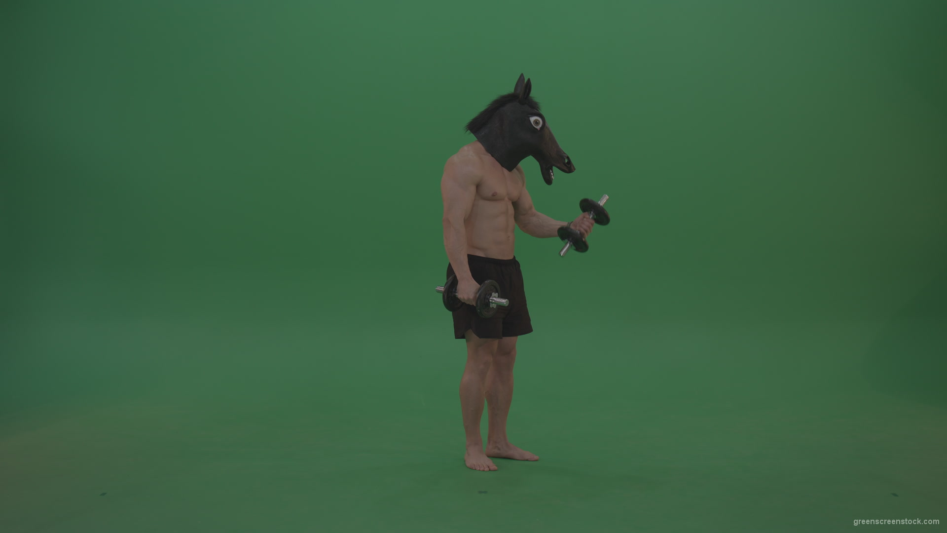 Ripped-man-with-horse-head-lifts-dumbells-over-chromakey-background_005 Green Screen Stock
