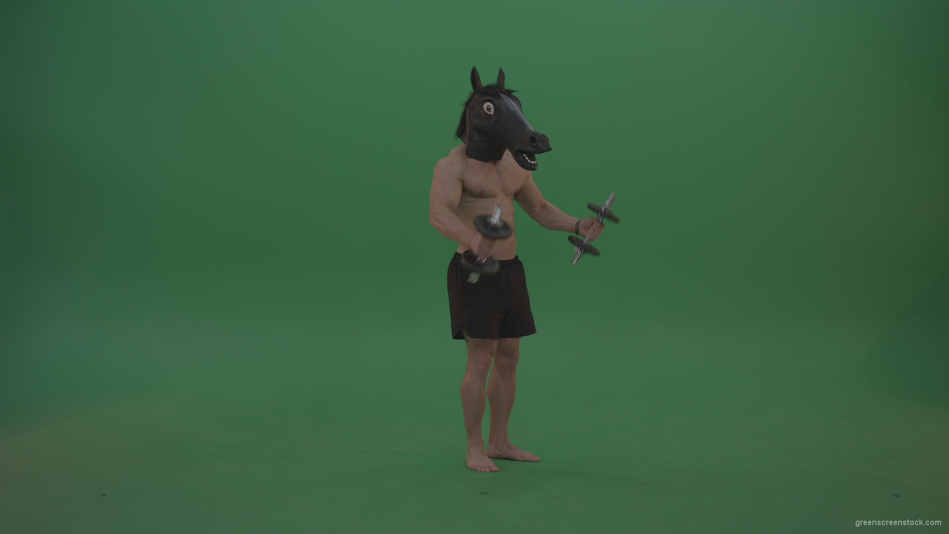 Ripped-man-with-horse-head-lifts-dumbells-over-chromakey-background_006 Green Screen Stock