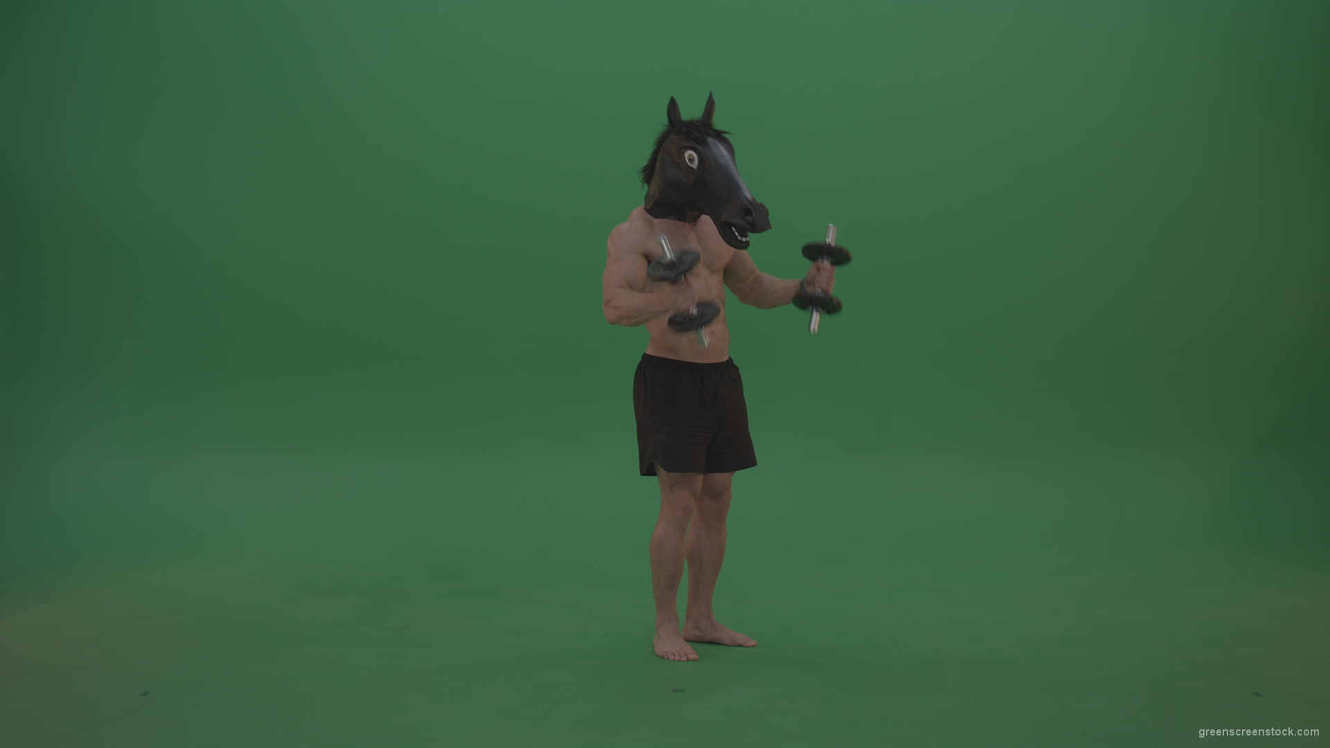 Ripped-man-with-horse-head-lifts-dumbells-over-chromakey-background_008 Green Screen Stock