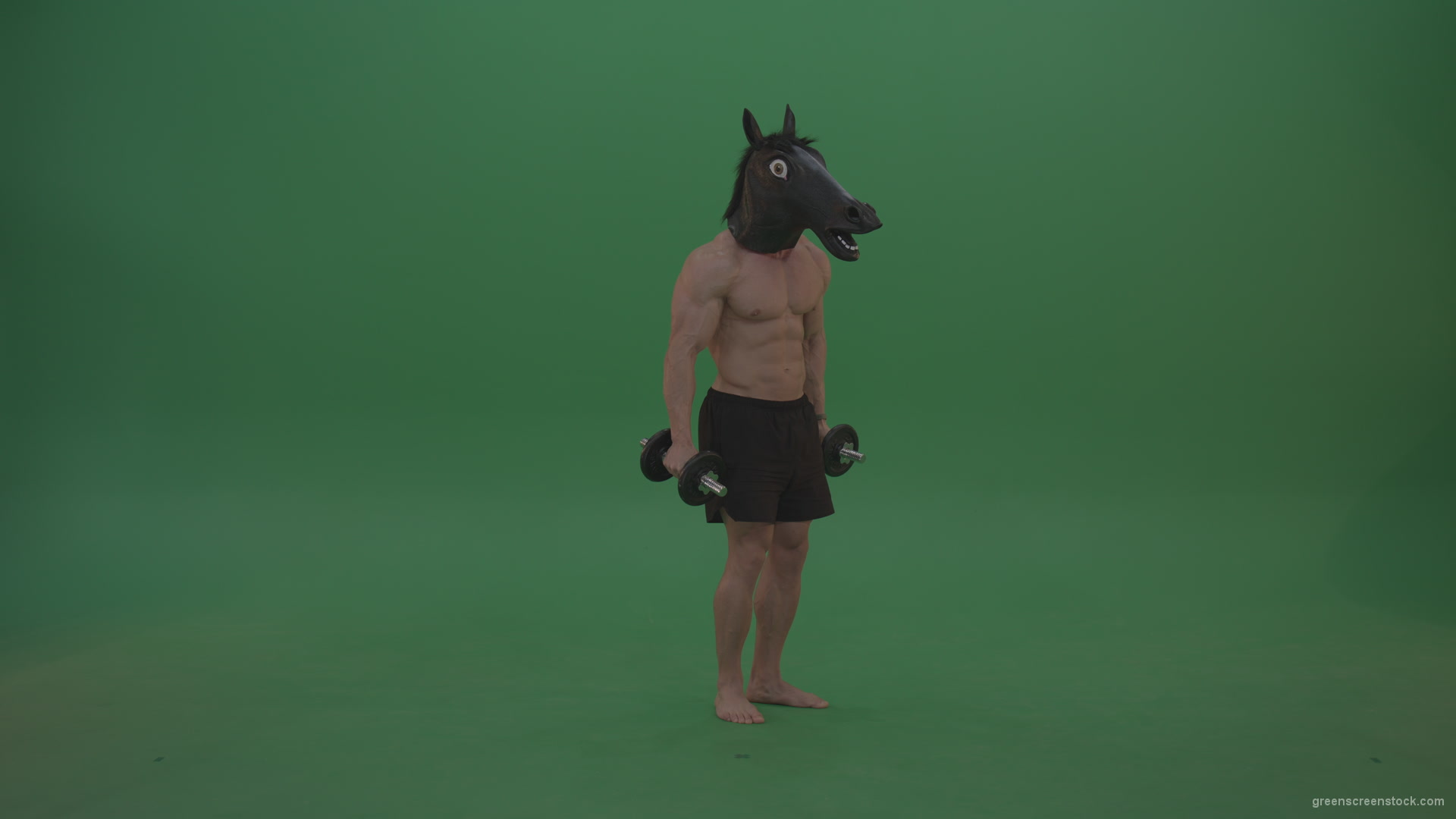 Ripped-man-with-horse-head-lifts-dumbells-over-chromakey-background_009 Green Screen Stock