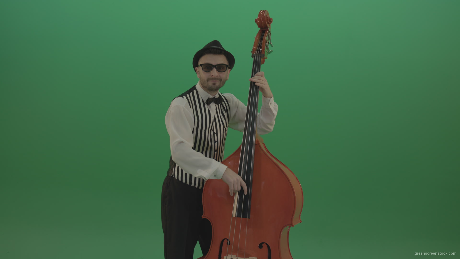Virtuoso-man-playing-jazz-on-double-bass-String-music-instrument-isolated-on-green-screen_002 Green Screen Stock
