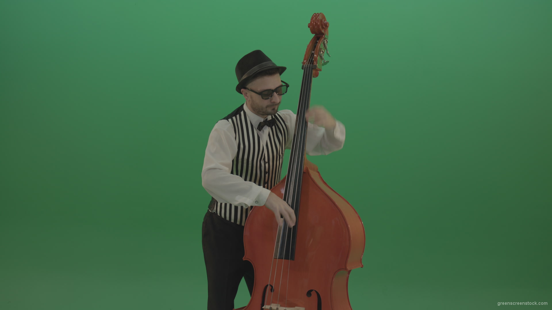 Virtuoso-man-playing-jazz-on-double-bass-String-music-instrument-isolated-on-green-screen_007 Green Screen Stock