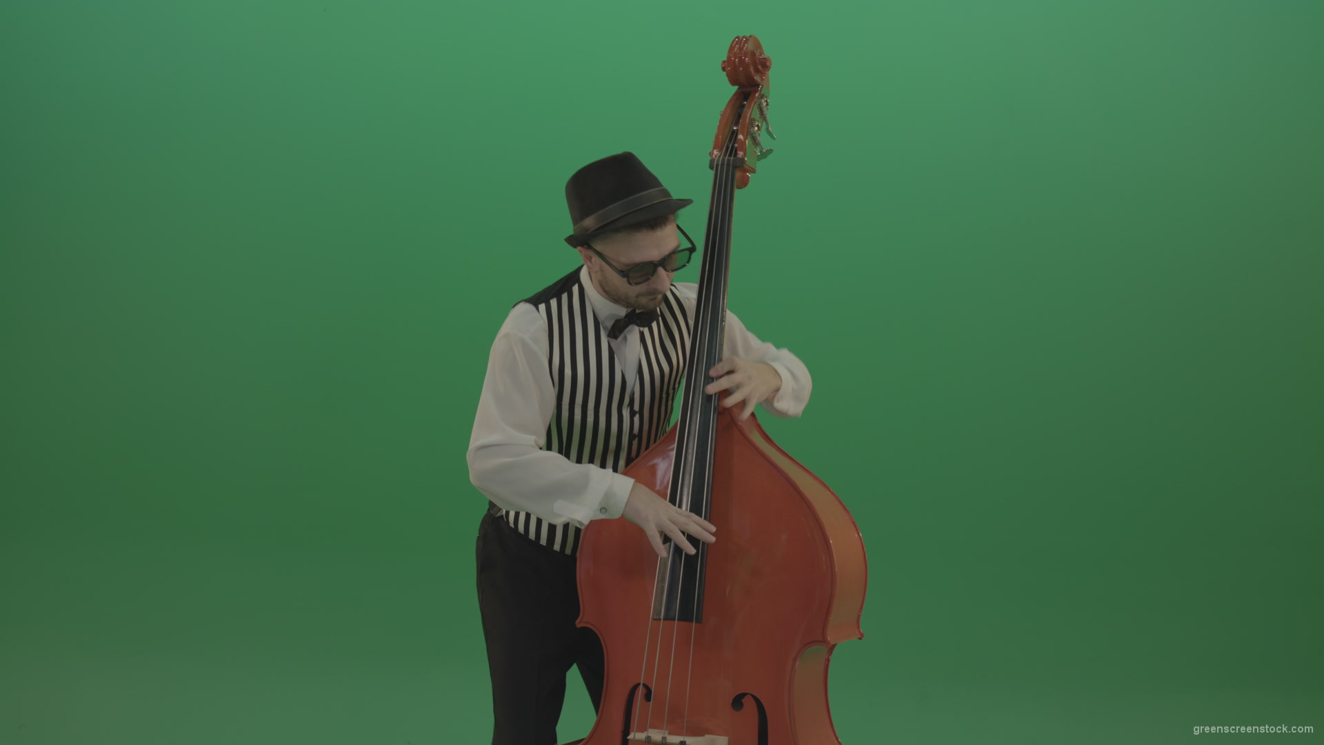 Virtuoso-man-playing-jazz-on-double-bass-String-music-instrument-isolated-on-green-screen_008 Green Screen Stock