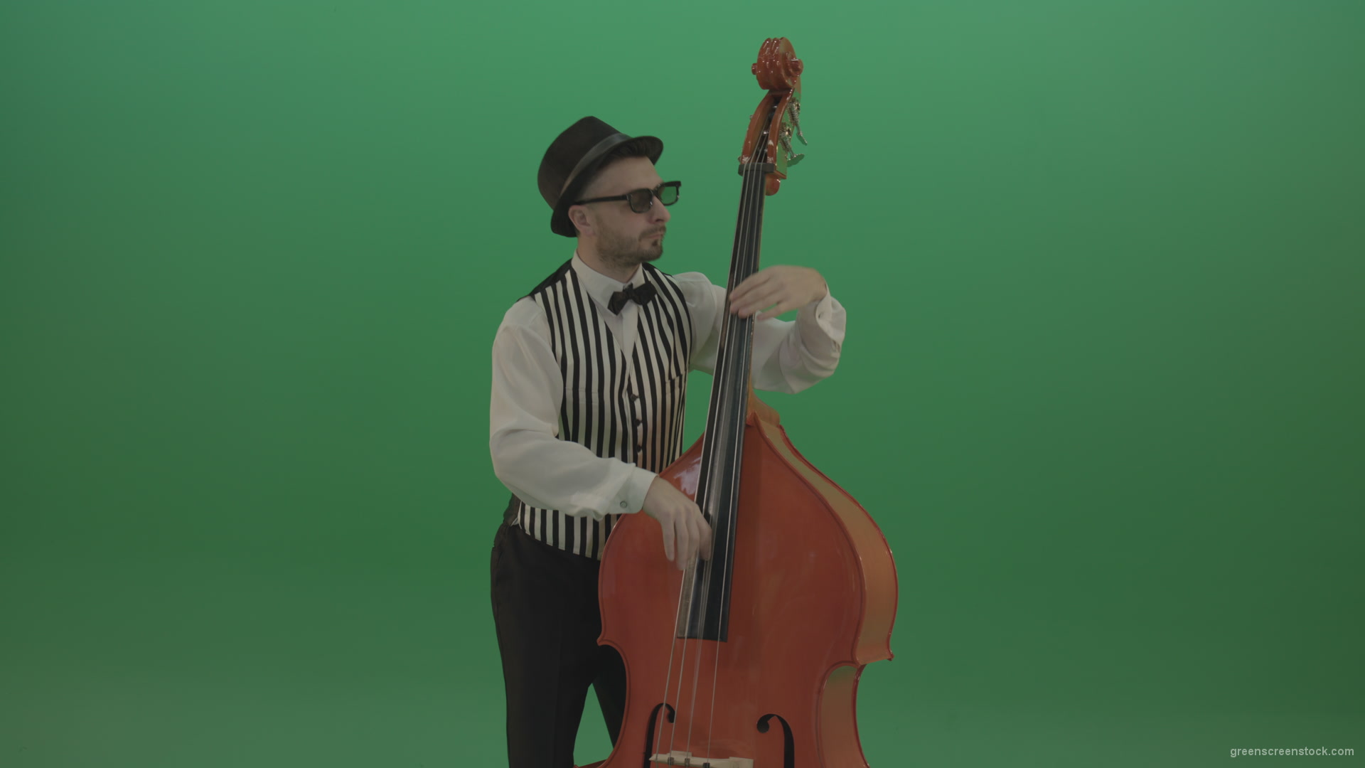 Virtuoso-man-playing-jazz-on-double-bass-String-music-instrument-isolated-on-green-screen_009 Green Screen Stock