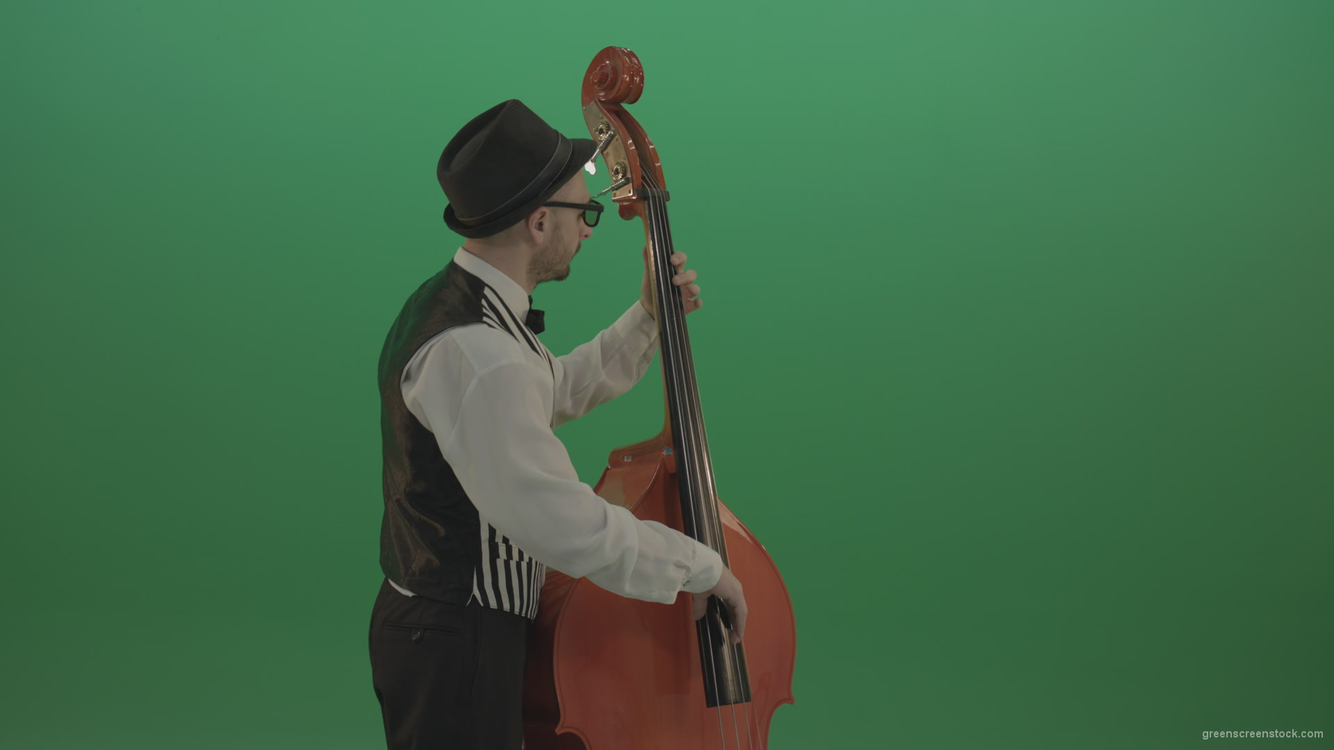 Young-Man-play-jazz-on-double-bass-String-music-instrument-isolated-on-green-screen-in-back-side-view_002 Green Screen Stock