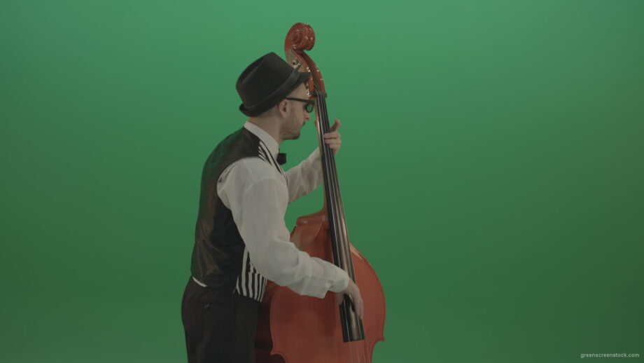 vj video background Young-Man-play-jazz-on-double-bass-String-music-instrument-isolated-on-green-screen-in-back-side-view_003
