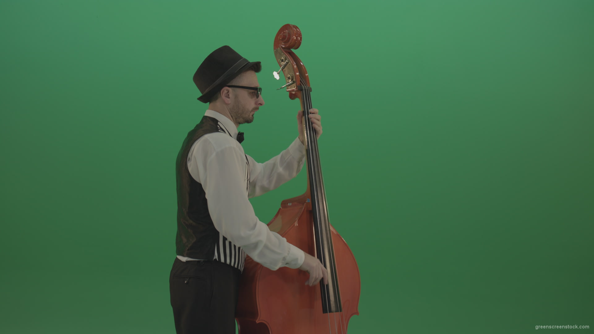 Young-Man-play-jazz-on-double-bass-String-music-instrument-isolated-on-green-screen-in-back-side-view_004 Green Screen Stock