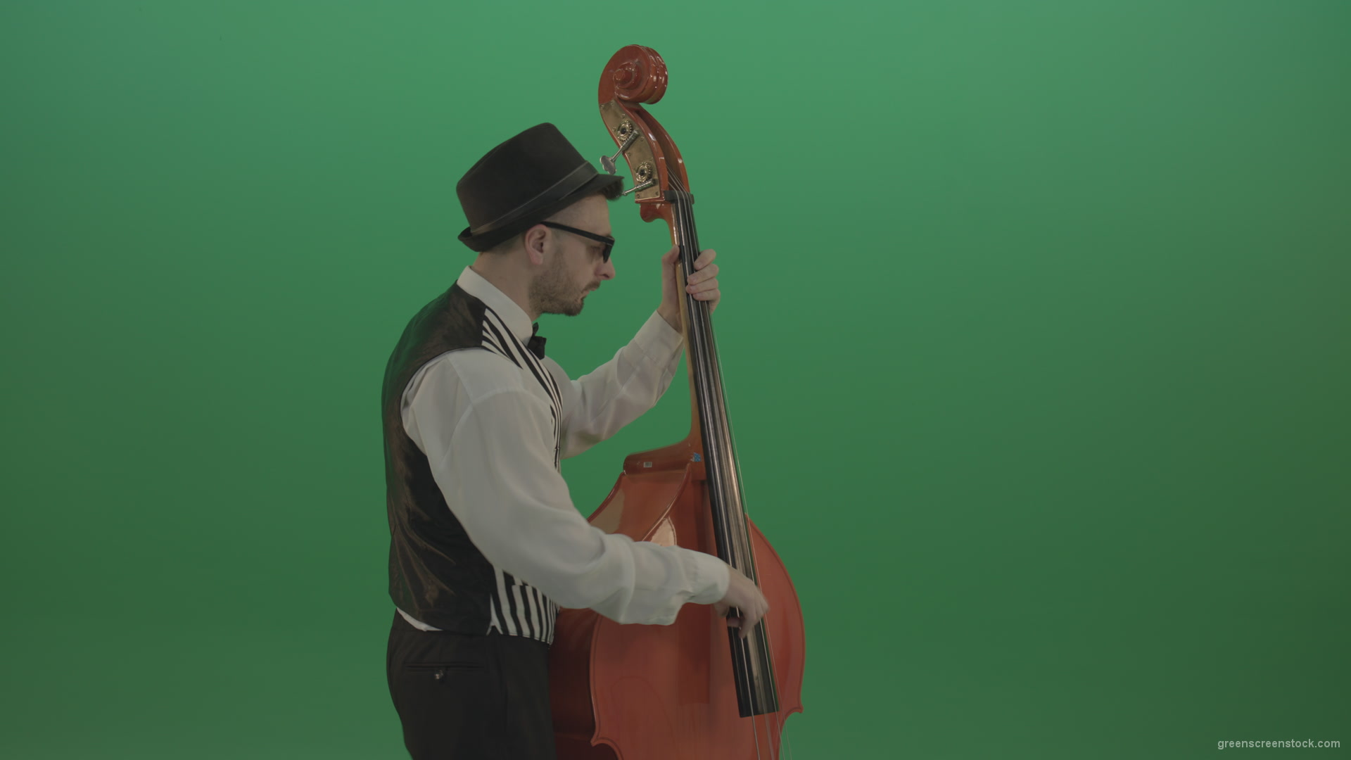 Young-Man-play-jazz-on-double-bass-String-music-instrument-isolated-on-green-screen-in-back-side-view_005 Green Screen Stock