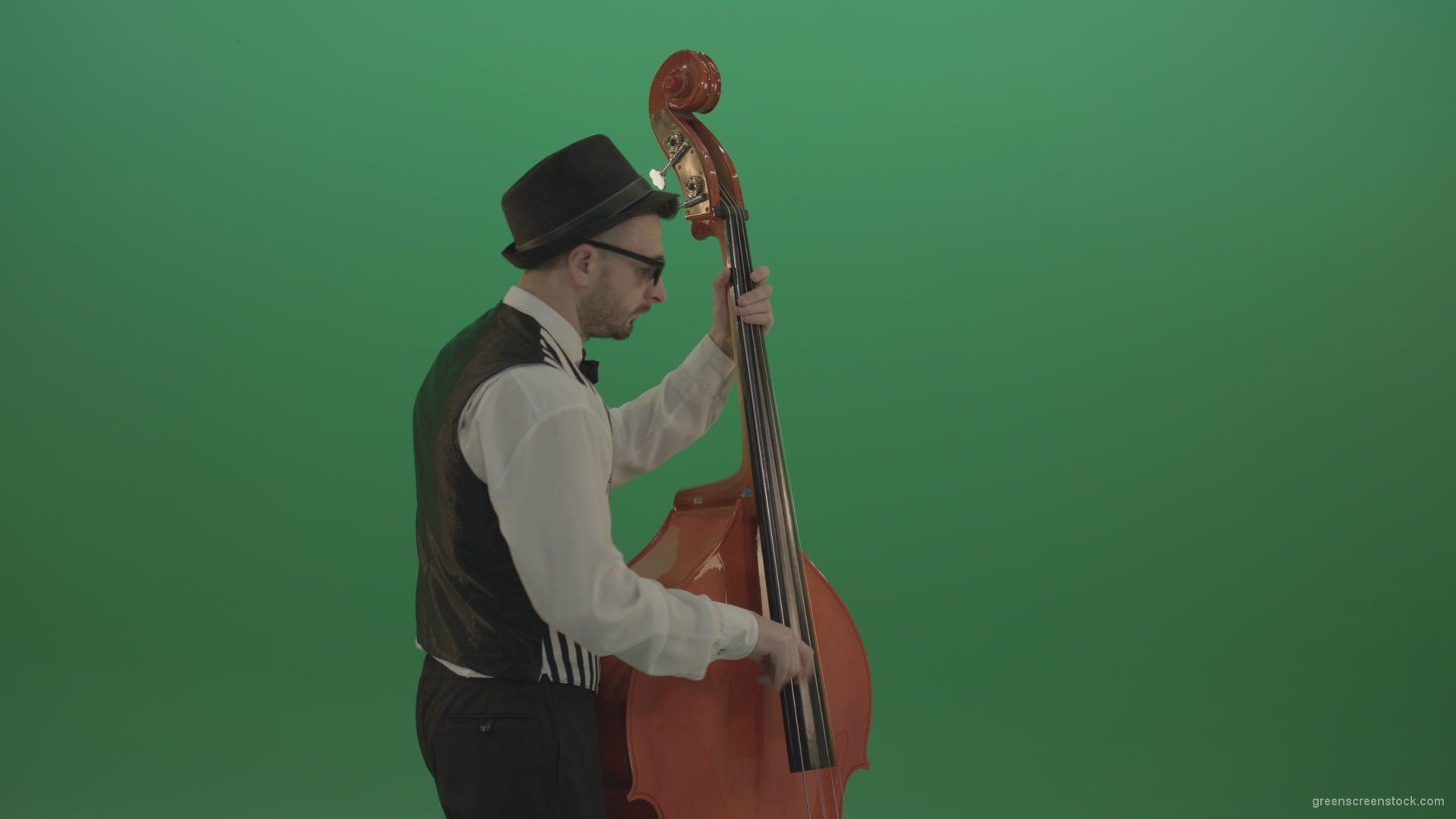 Young-Man-play-jazz-on-double-bass-String-music-instrument-isolated-on-green-screen-in-back-side-view_006 Green Screen Stock