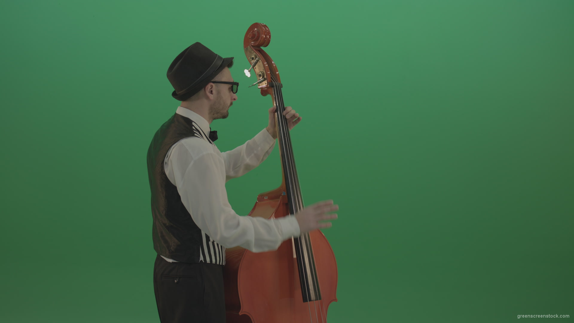 Young-Man-play-jazz-on-double-bass-String-music-instrument-isolated-on-green-screen-in-back-side-view_009 Green Screen Stock