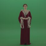 vj video background Young-actress-dressed-in-royal-dress-showing-different-scenes_003