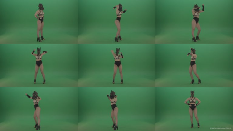 EDM-Girl-in-Wolf-Mask-making-fight-beats-on-green-screen Green Screen Stock