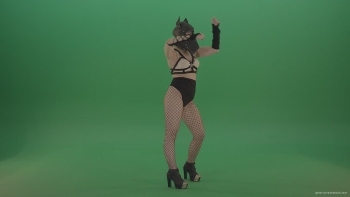 vj video background EDM-Girl-in-Wolf-Mask-making-fight-beats-on-green-screen_003