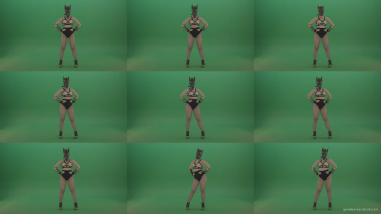 Erotic-girl-in-wolf-dog-sexy-fetish-mask-posing-on-green-screen Green Screen Stock
