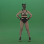vj video background Erotic-girl-in-wolf-dog-sexy-fetish-mask-posing-on-green-screen_003