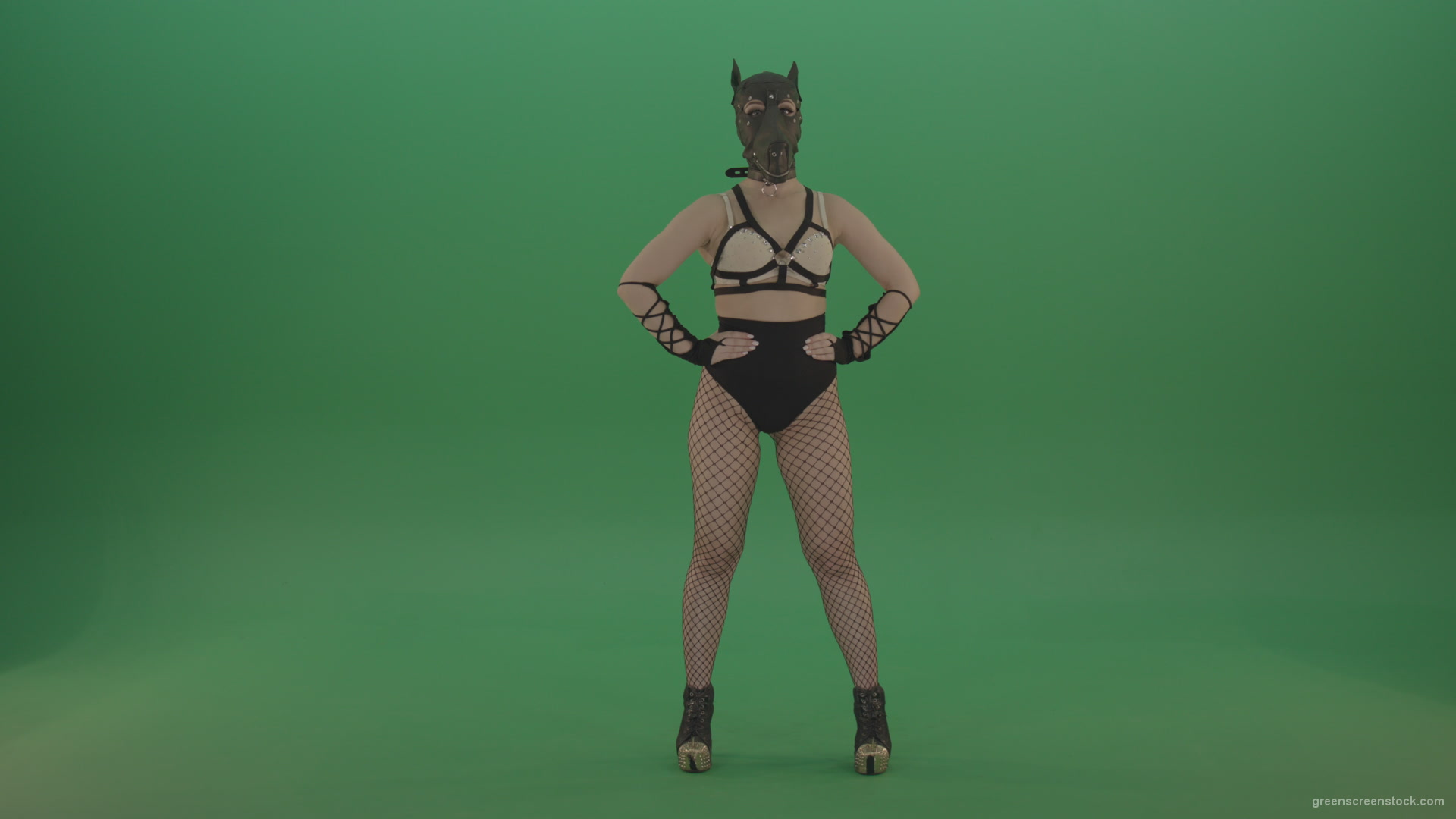 vj video background Erotic-girl-in-wolf-dog-sexy-fetish-mask-posing-on-green-screen_003