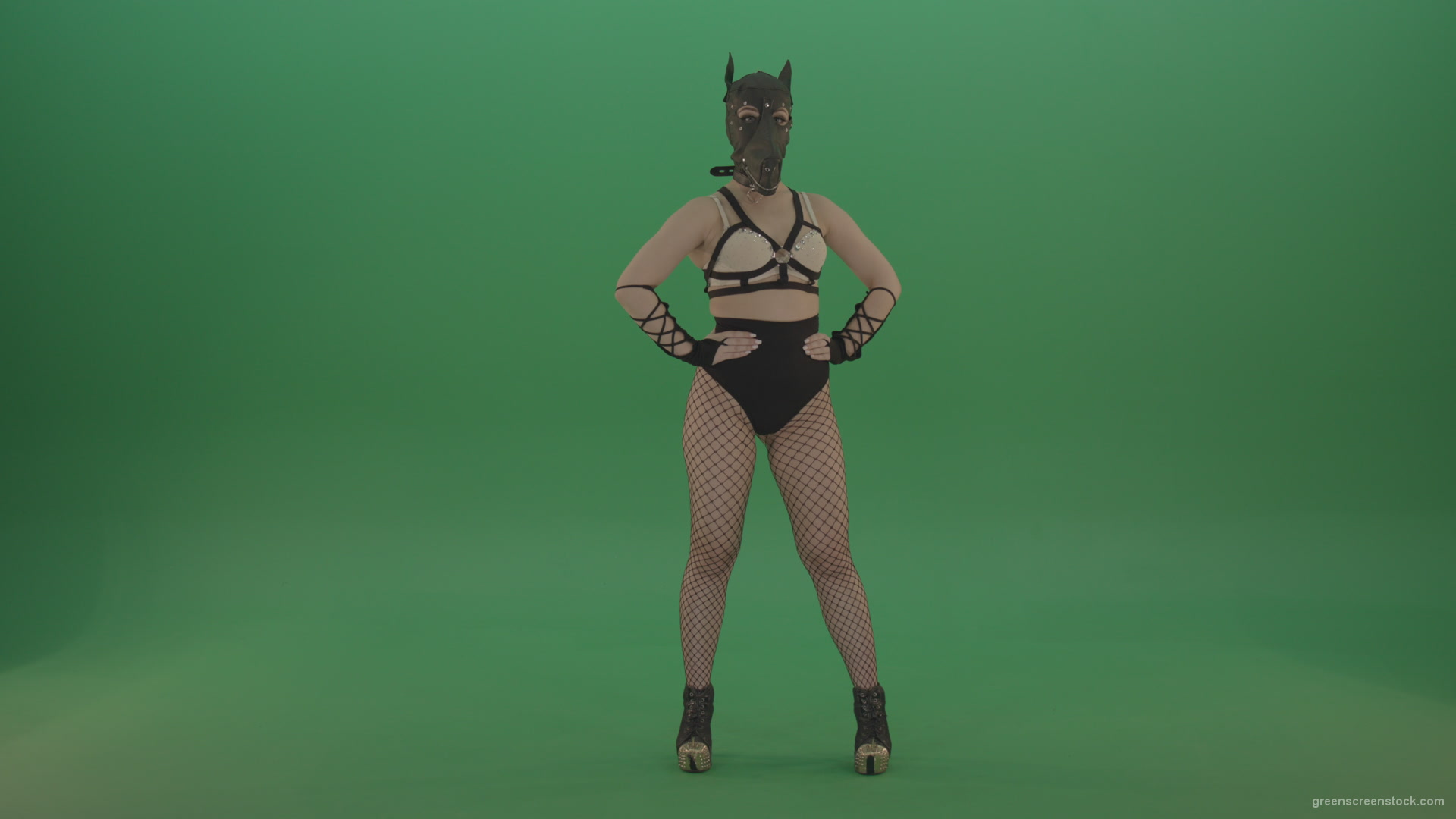 Erotic-girl-in-wolf-dog-sexy-fetish-mask-posing-on-green-screen_004 Green Screen Stock