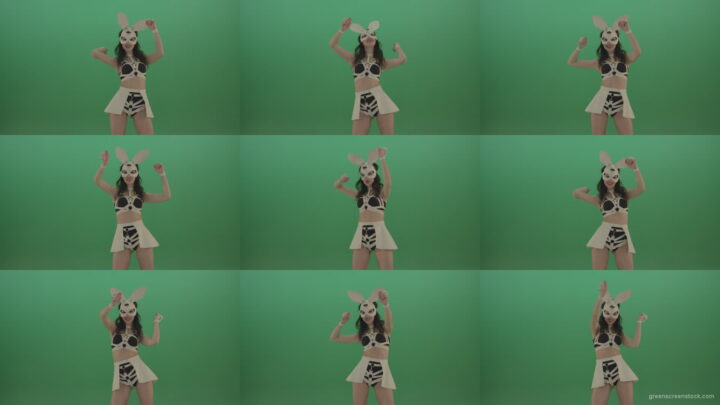 Go-Go-Dancing-Girl-in-Rabbit-Costume-beating-hands-over-Green-Screen-1920 Green Screen Stock