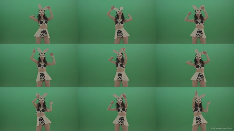 Go-Go-Dancing-Girl-in-Rabbit-Costume-beating-hands-over-Green-Screen-1920 Green Screen Stock
