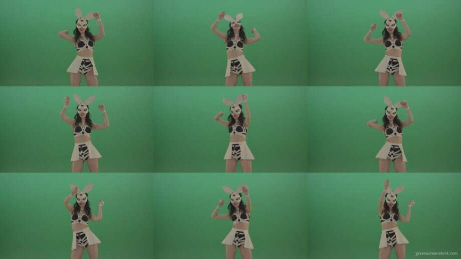 Go-Go-Dancing-Girl-in-Rabbit-Costume-beating-hands-over-Green-Screen-1920 Green Screen Stock