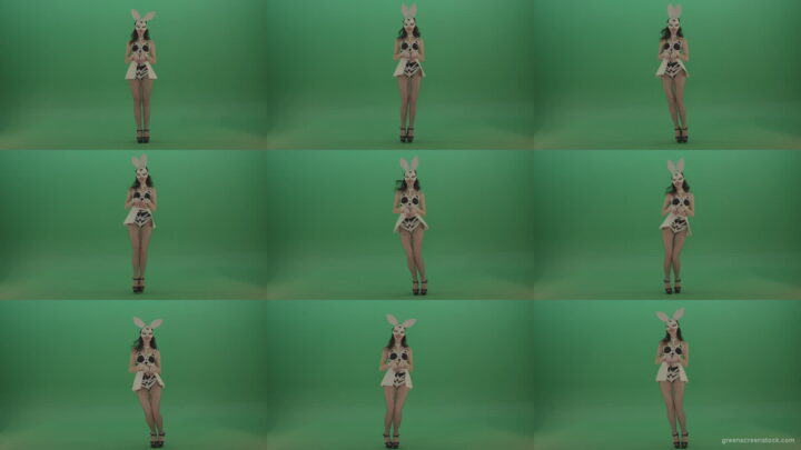 Happy-girl-dressed-in-rabbit-costume-for-adults-cyclically-jumping-in-different-directions-with-white-ears-on-chromakey-background-1920 Green Screen Stock